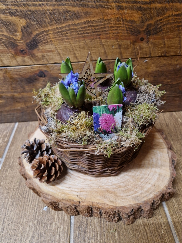 Christmas Planter