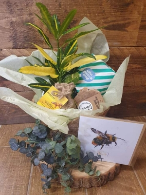 New home gift Basket