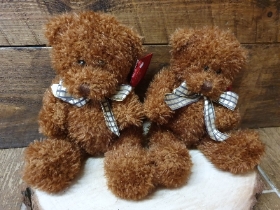 Teddies